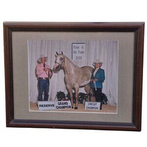 Vintage Horse Show Reserve Champion Framed Photograph Pride of the Prairie 2001